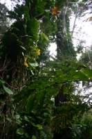 2007_hawaii_0123