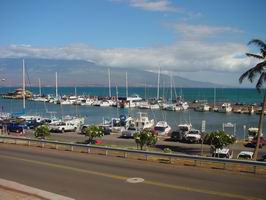 Maalaea Harbour